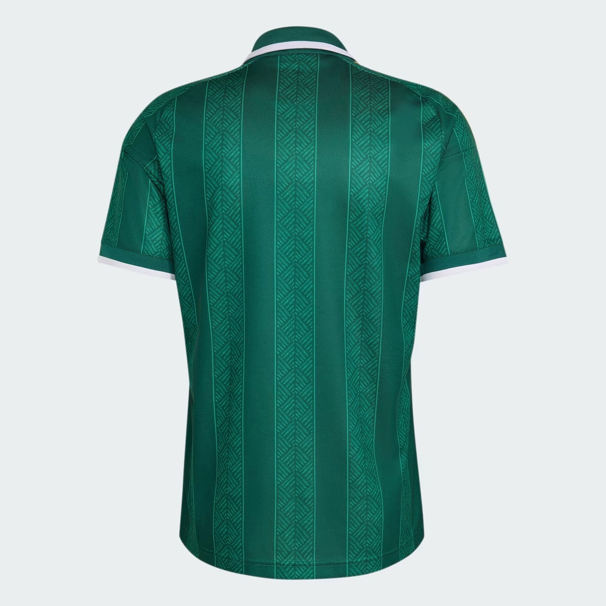 Camisa África do Sul 2026/27 I